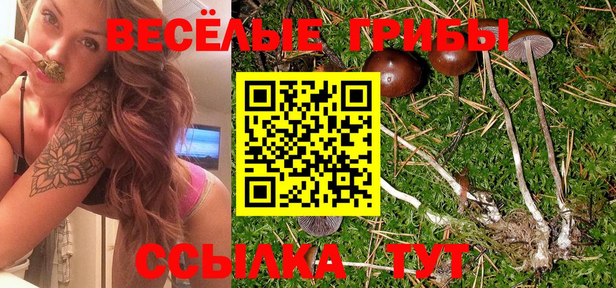 Можга  Галлюциногенные грибы мухоморы  Вход с VPN 