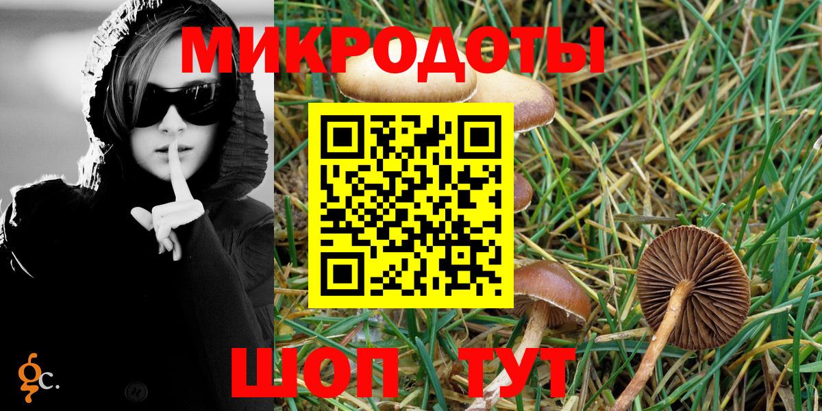 Галлюциногенные грибы Magic Shrooms Можга